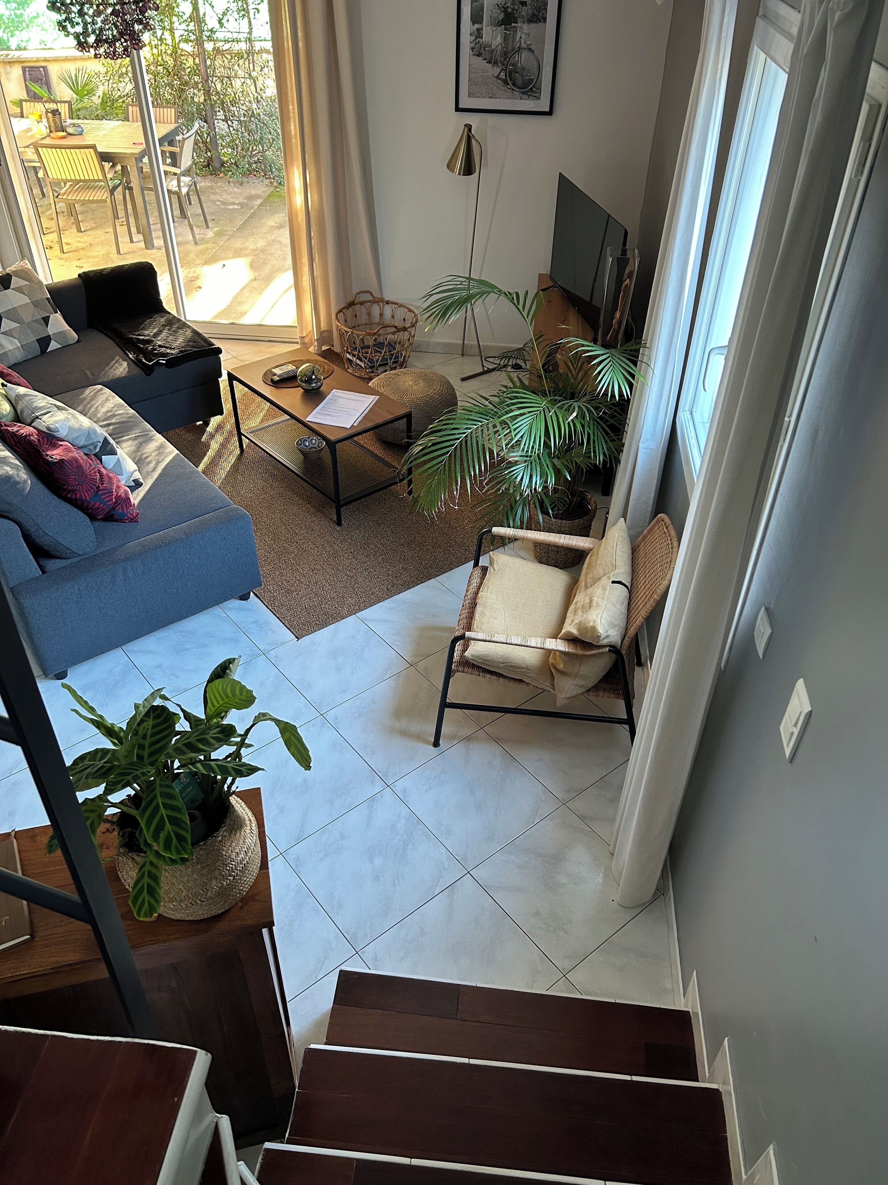 A living room with a sofa, armchair, coffee table, and potted plants.
