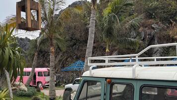 Basic Bungalow, Partial Ocean View | Property grounds