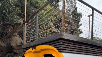 Basic-Bungalow, eingeschränkter Meerblick | Unterkunftsgelände