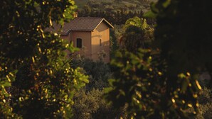A small house with a tiled roof, surrounded by dense vegetation and trees. - Mandranova Farm (Palma di Montechiaro)