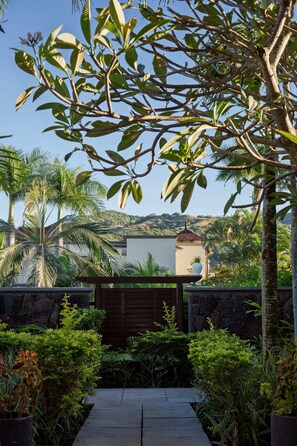 Property grounds - Horizon 4-Bedroom Ocean-View Villa / Infinity Pool & Tropical Garden (Bel Ombre)