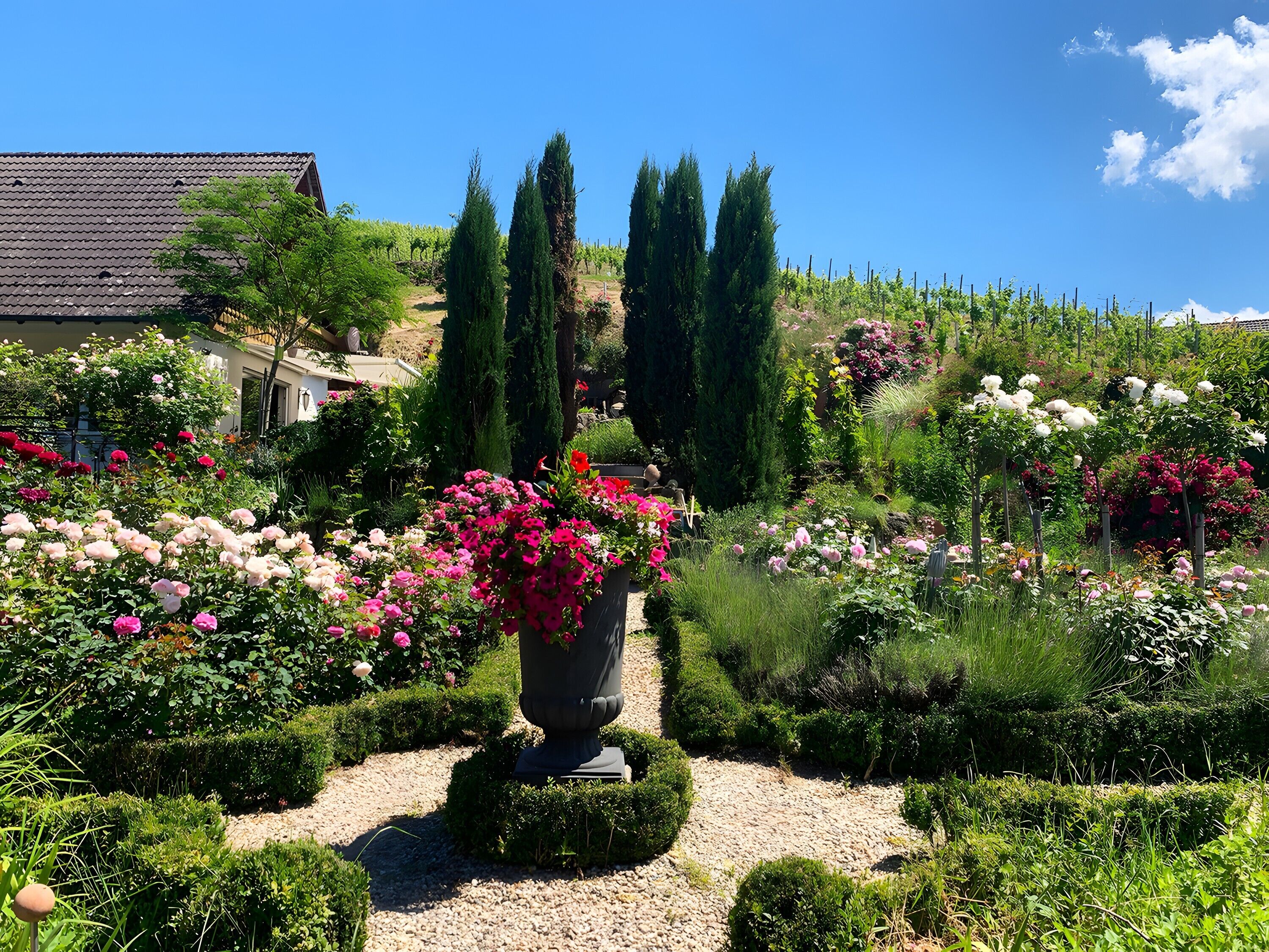 Terrein van de accommodatie