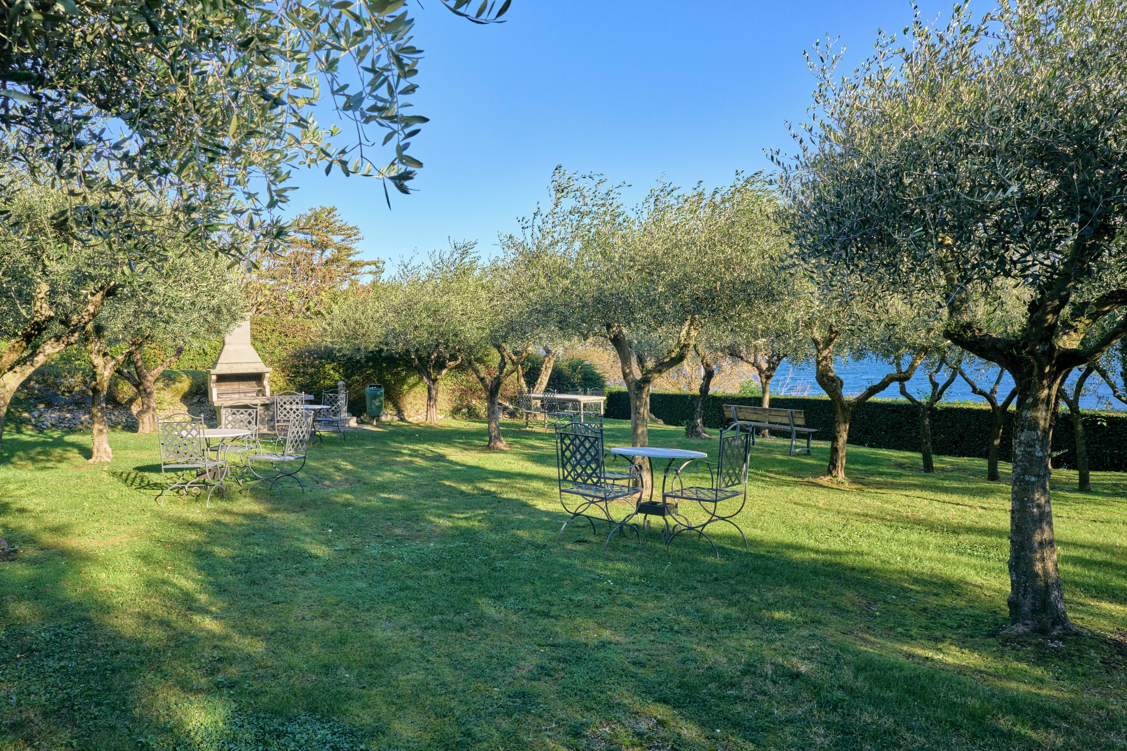 An outdoor seating area with metal chairs and tables, surrounded by olive trees and a view of the sea.
