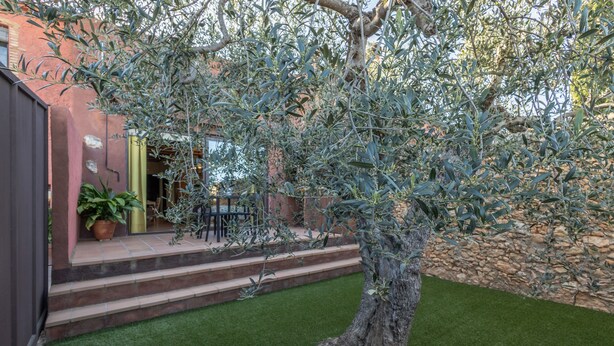 A tree-lined pathway leading to a building with a stone wall and a well-maintained lawn.