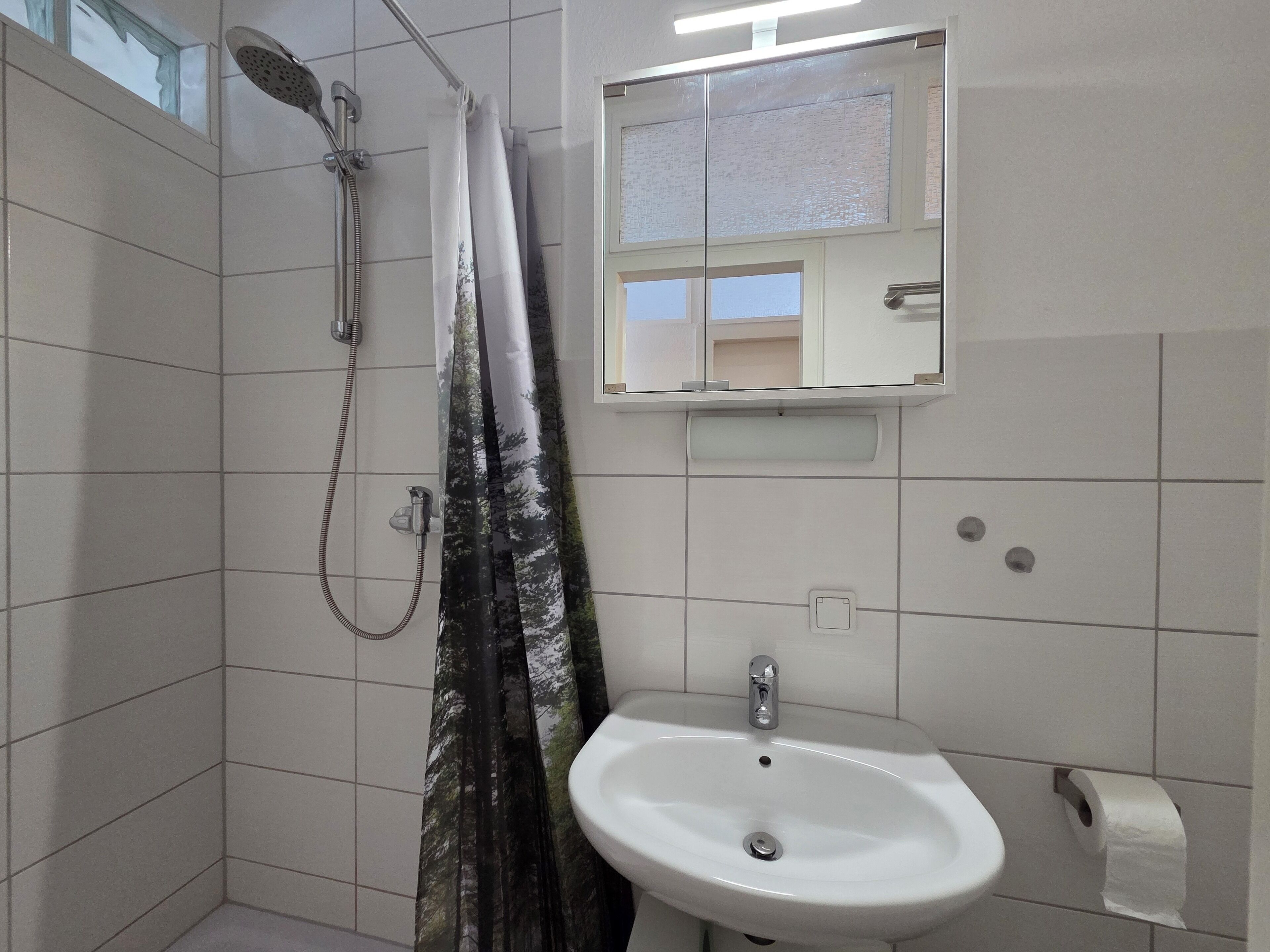 A bathroom with a shower, a sink, a mirror, and a toilet paper holder.