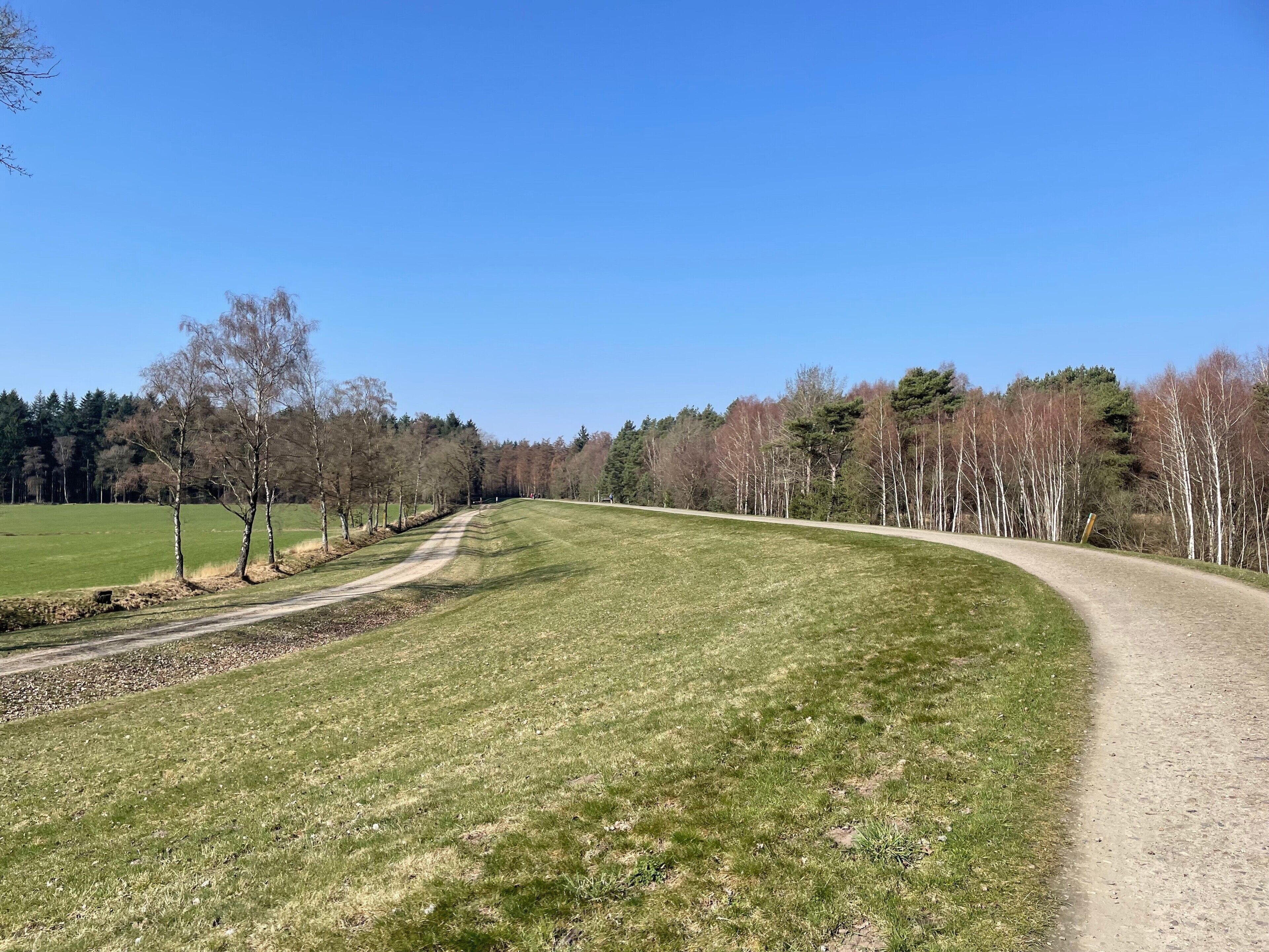 Ländliche Landschaft mit einem Feldweg, grünem Gras und kahl stehenden Bäumen.