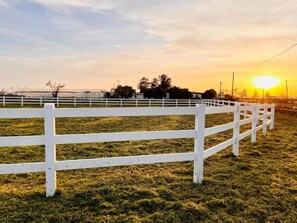 Property grounds - Marchanta Riverside Hotel (Valada)