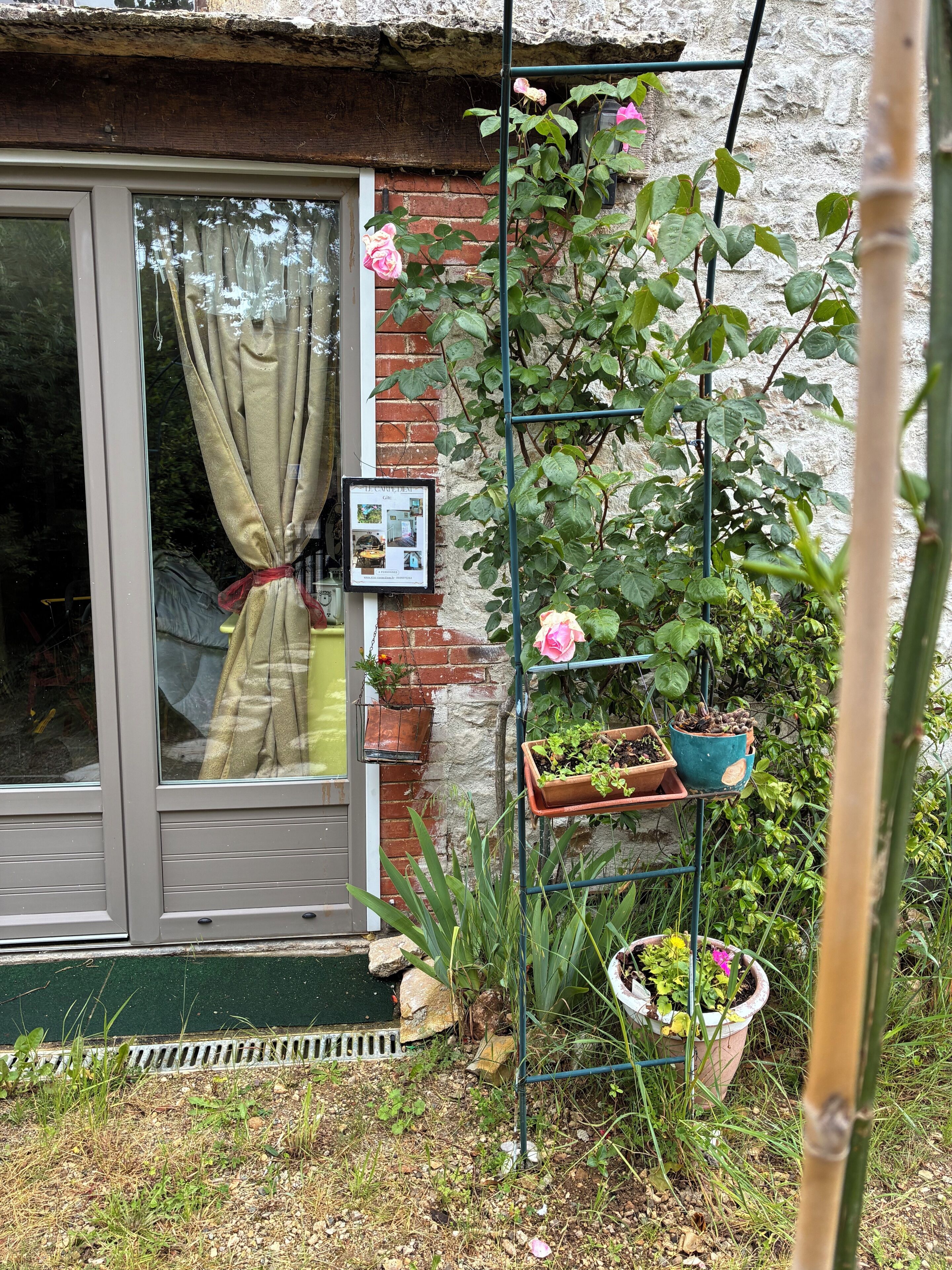 Un jardín con una ventana, una puerta y un muro de ladrillo.