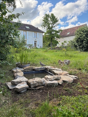 Un espacio exterior rústico con un estanque, escalones de piedra y una casa al fondo.