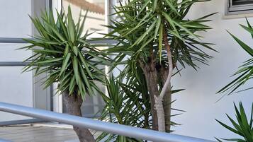 Details aan de buitenkant