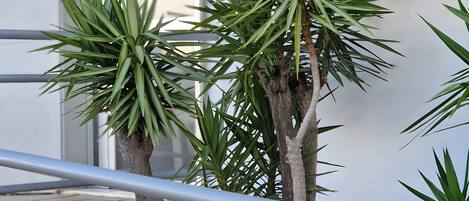 DĂ©tail de lâextĂ©rieur