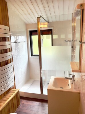 Shower, hair dryer, soap