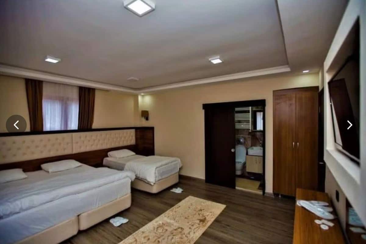 Une chambre avec deux lits, une télévision, une armoire et une salle de bain visible à travers une porte ouverte.