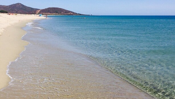 Ein Strand mit klarem Wasser, sandigem Ufer und Bergen in der Ferne.