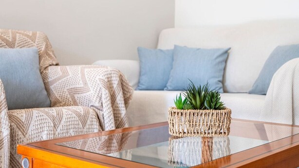 A modern living room with a glass coffee table, a patterned sofa, and a woven basket with plants.