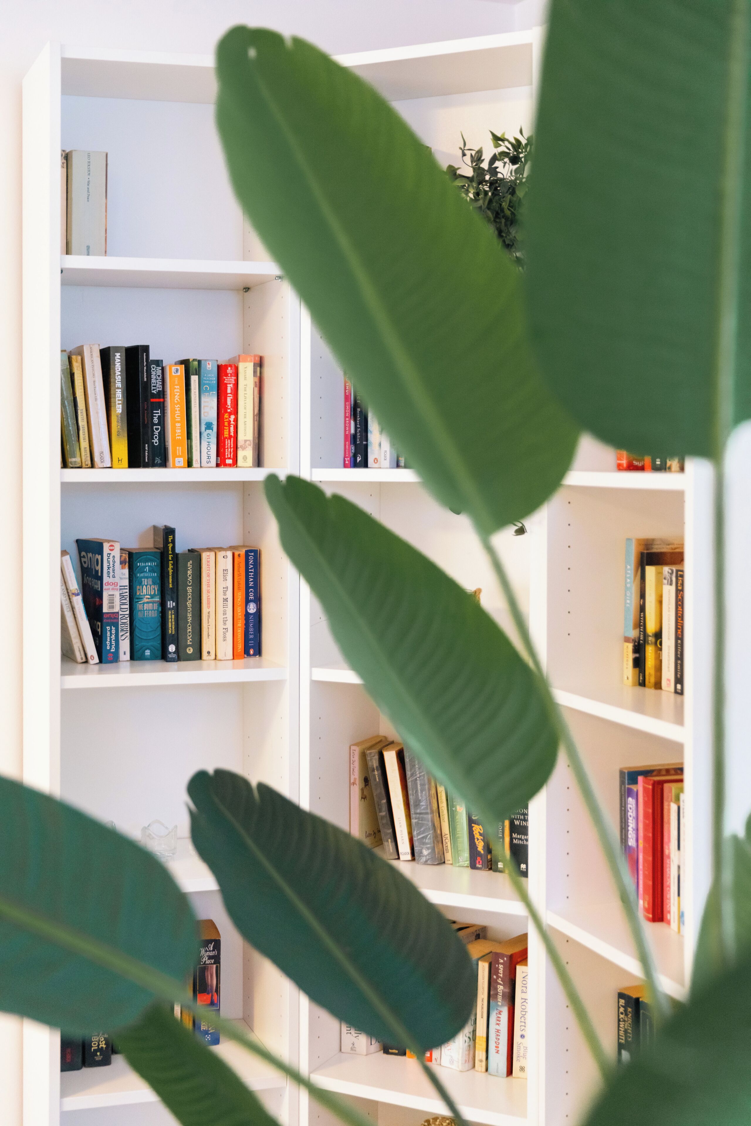 A bookshelf with books and a plant.