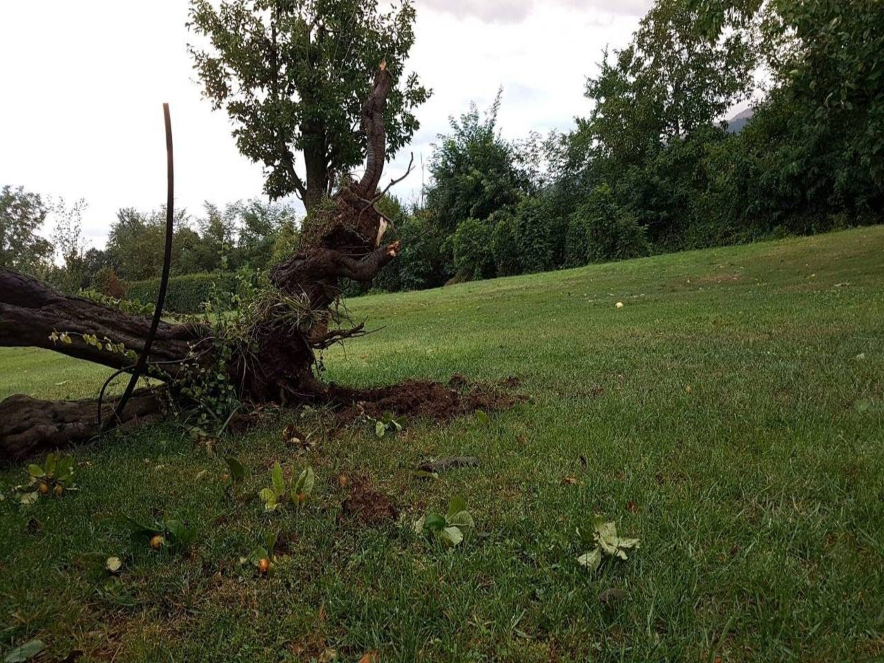 アパートメント | 施設からの眺望