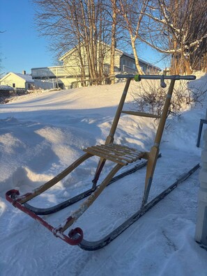 開放式客房, 1 間臥室, 無障礙 | 雪地及滑雪運動