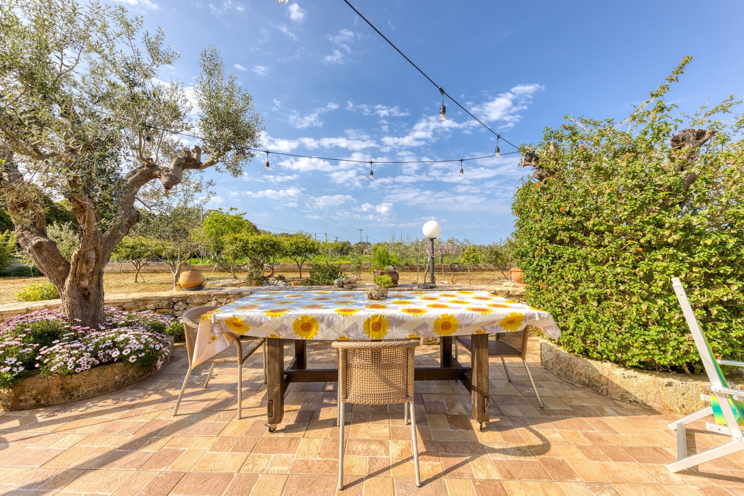 Opções para refeição ao ar livre