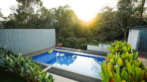 A rectangular swimming pool with a tiled deck, surrounded by lush greenery and trees. - Sukoon By Spynora (Vythiri)