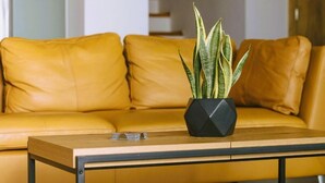 A yellow leather sofa with a potted plant on a wooden coffee table. - Anemos Luxury Villas (Agios Vasileios)
