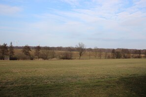 A wide-open field with a few trees and distant wind turbines. - 1.Standard-Einzelzimmer (Anastasia) in ruhiger Lage in Görlitz (Görlitz)