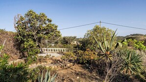 Un jardin avec différentes sortes de plantes et une clôture blanche en arrière-plan.