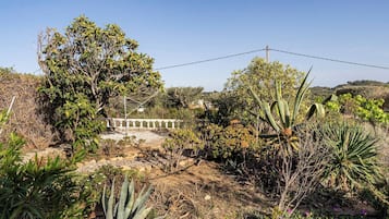Bungalow, 2 phòng ngủ, hút thuốc, quang cảnh vườn | Khuôn viên nơi lưu trú