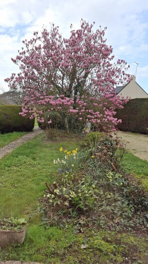 Jardines del alojamiento