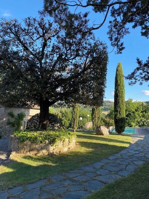 Property grounds - Stunning Tuscan Farm House with an Olive Grove (Le Lame)