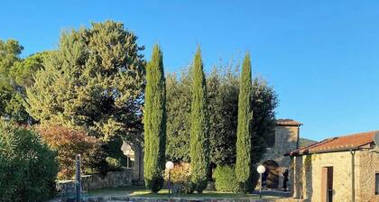 Stunning Tuscan Farm House with an Olive Grove