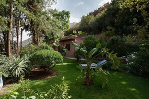 Property grounds - Le maquis  (Sti Fadma)