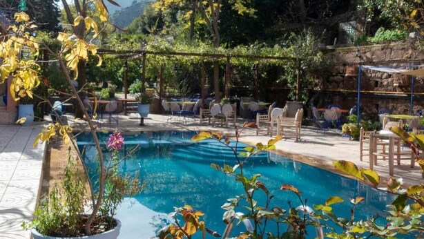 Ein Pool, umgeben von Kübelpflanzen und Gartenmöbeln.