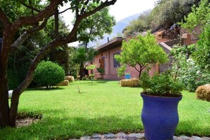 Property grounds - Le maquis  (Sti Fadma)