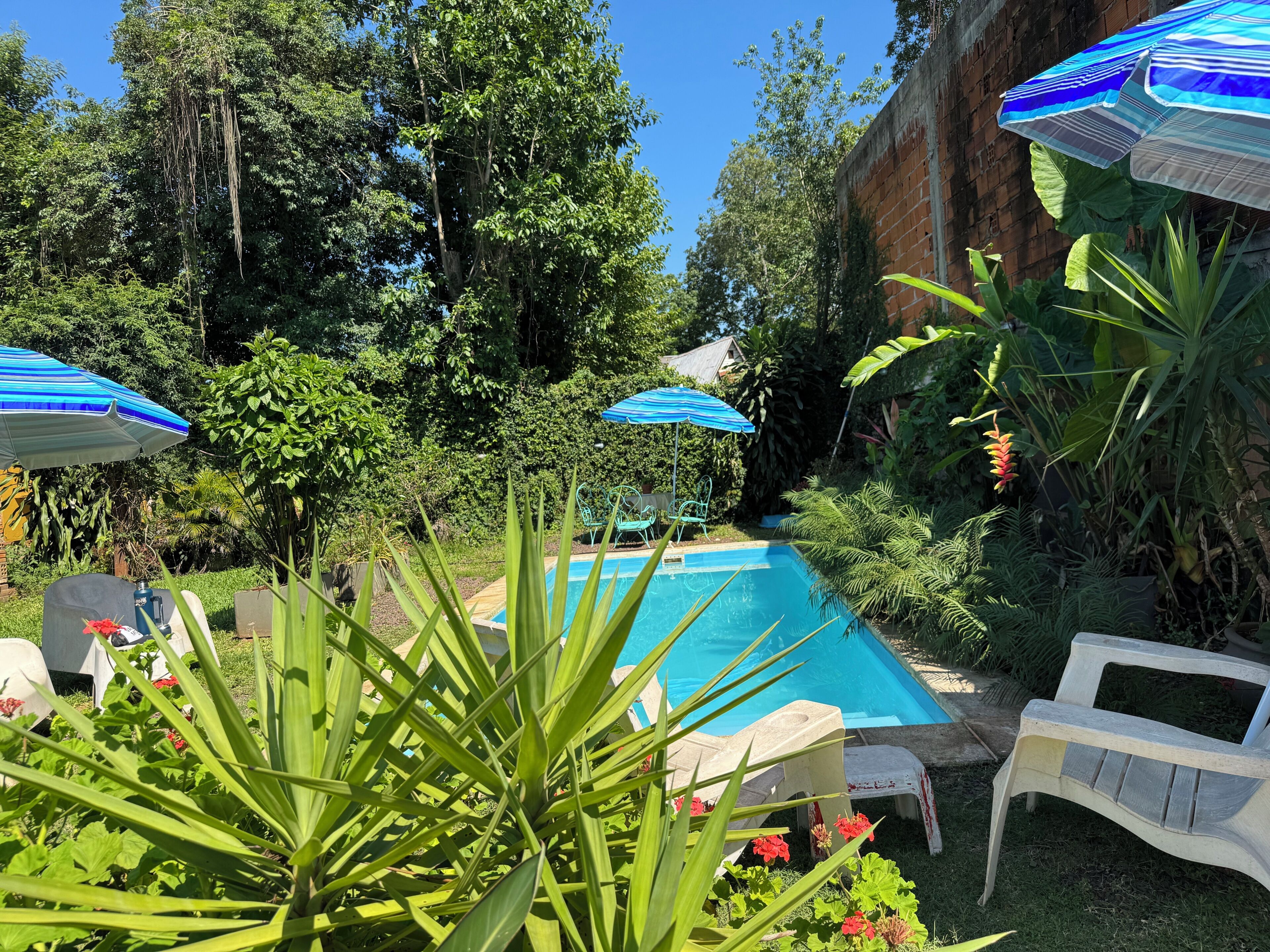 A pool with lounge chairs and umbrellas, surrounded by lush greenery and a brick wall.
