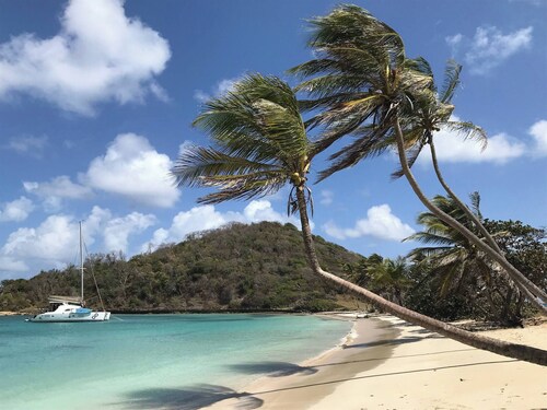 Catamaran Timaiao V, Breakfast and Lunch Included