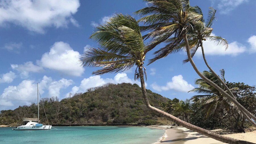 Catamaran Timaiao V, Breakfast and Lunch Included