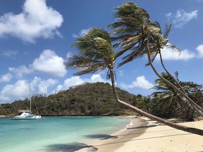 Catamaran Timaiao V, Breakfast and Lunch Included