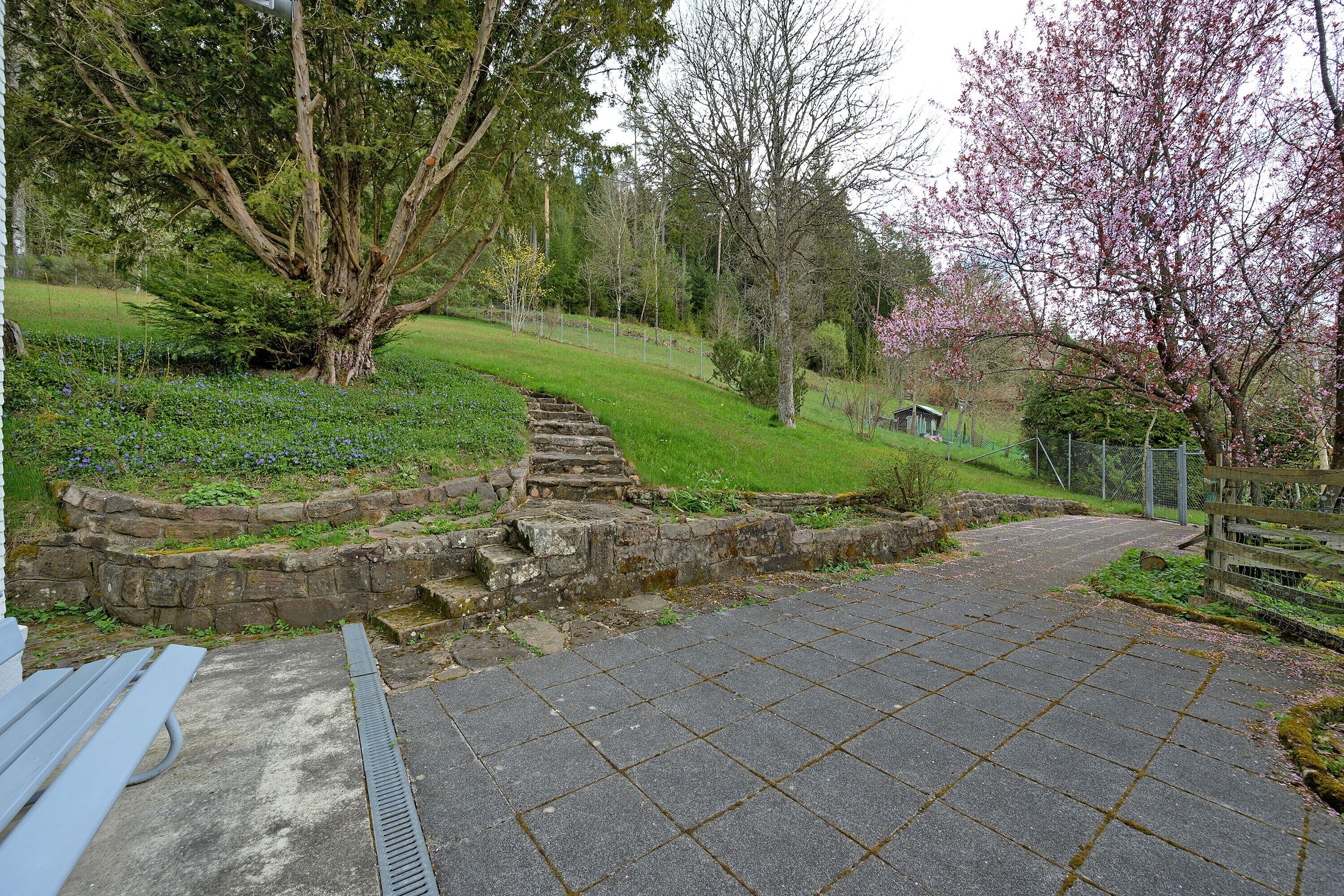 Parco della struttura