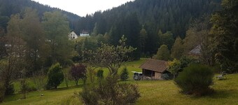 Holiday Home 'Pure Nature in the Northern Black Forest'