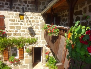 Detalle del exterior