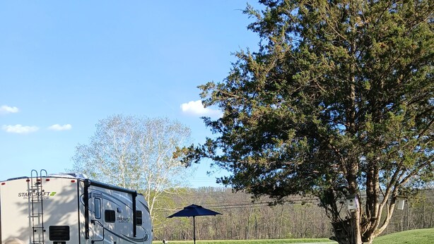 Una caravana estacionada en un área con césped, mesas de picnic y un árbol.