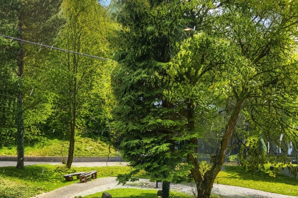 Apartment | Garden