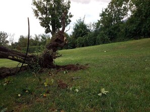 Apartment | View from property - Bendorf Hotel by Belvilla Double Room With Balcony (Bendorf)