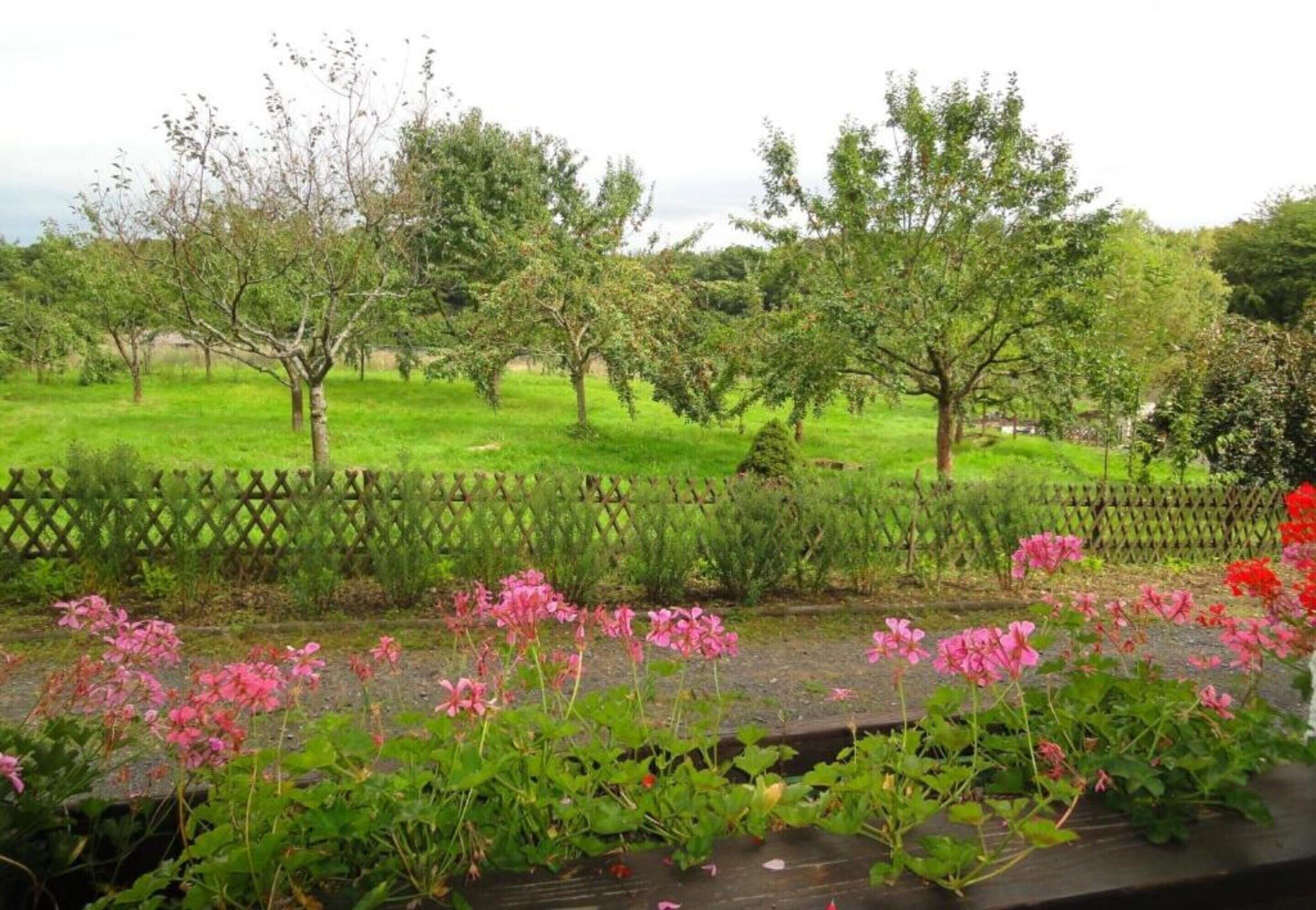 Apartment | Blick von der Unterkunft