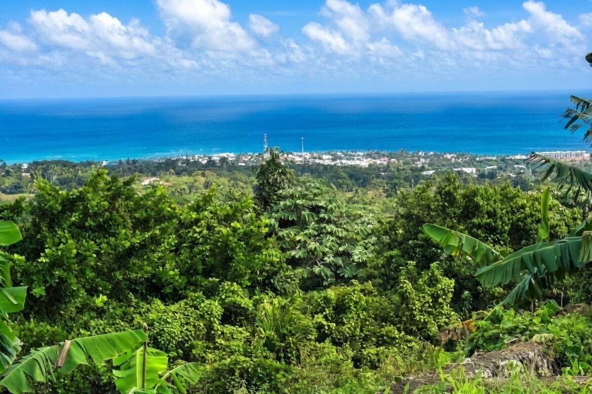 Hytte, 4 soverom, røyk, privat basseng | Diverse