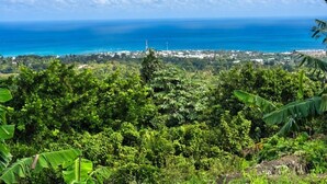 A coastal landscape with dense vegetation and a view of the ocean. - Charming Villa in Cabrera With Ocean View (Cabrera)