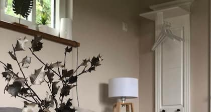 Tiny House in der Lüneburger Heide