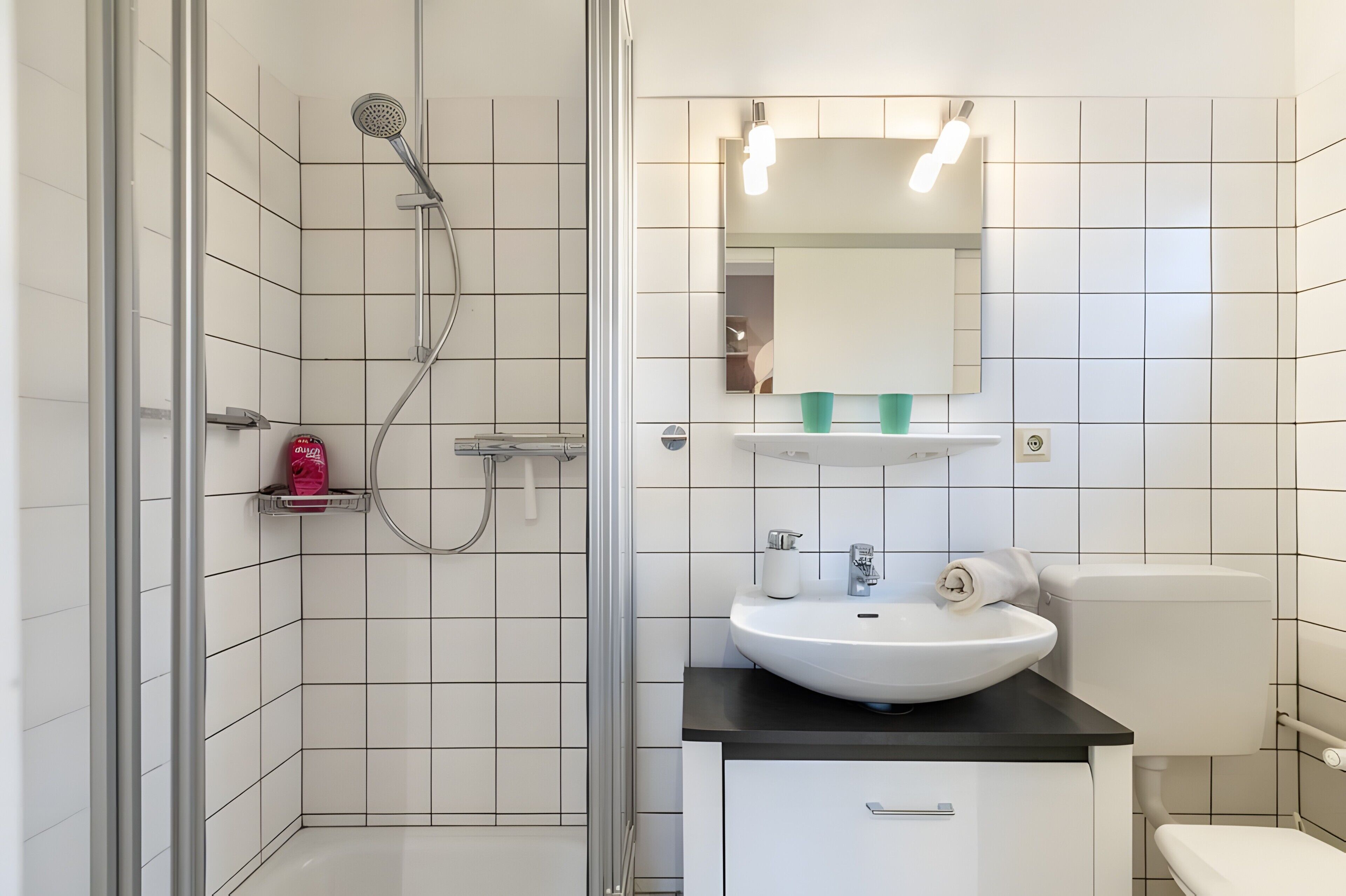Shower, hair dryer, towels