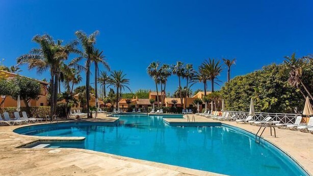 Une piscine avec des chaises longues et des palmiers.